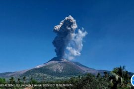 Gunung Lewotobi Laki-laki kembali erupsi dua kali pada Rabu siang