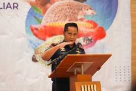KKP perkuat sinergi penegakan hukum kelautan perikanan di Kalbar