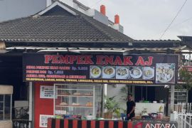 Pemkot Palembang manfaatkan duta gemar makan ikan tingkatkan konsumsi