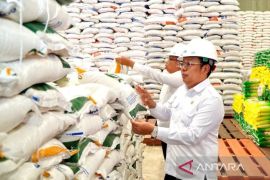 Pemerintah lakukan pemrosesan ulang 29,99 ribu ton beras turun mutu