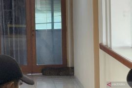 Macan tutul masuk hotel di Bandung, dievakuasi tim gabungan