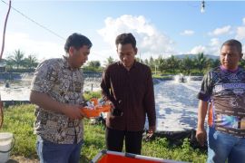 Tom dosen Itera ciptakan teknologi tambak udang berbasis IoT