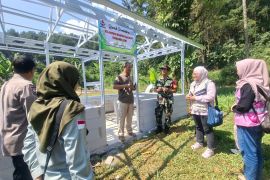 PLN Peduli dorong Kemandirian Perempuan Desa Linggoasri dengan bantu bibit organik