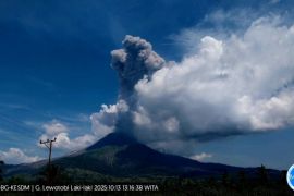 PVMBG mencatat Gunung Lewotobi Laki-laki satu kali erupsi pada Selasa