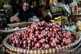 Bapanas: Harga cabai rawit Rp42.318/kg, bawang merah Rp38.689/kg