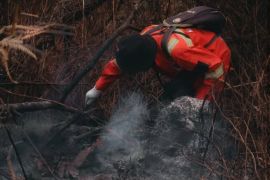 TNGR: Kebakaran hutan di kawasan Gunung Rinjani telah padamkan