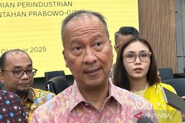 Soal program mobil nasional, Menperin: Kami usulkan jadi PSN