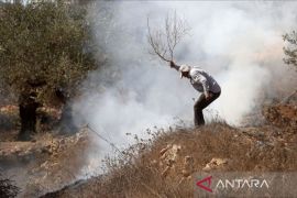 Palestina: 90% Aset Pertanian di Gaza Dihancurkan oleh Serangan Israel