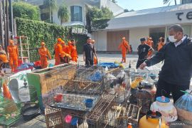 Ini alasan Pemkot Jaksel tertibkan pedagang Pasar Barito