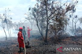 BPBD Muara Enim Sumsel padamkan karhutla di Sungai Rotan