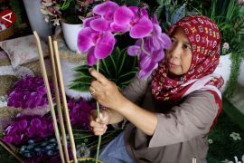 Guru SMA di Pontianak raup puluhan juta rupiah dari ekspor bunga hias