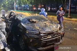 Perlu dilakukan mitigasi pohon tumbang di Jakarta