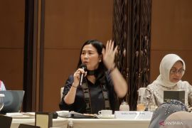 Wamen PPPA serukan kolaborasi perkuat perlindungan anak