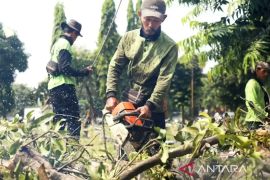 Antisipasi cuaca ekstrem, ini yang akan dilakukan Pemkot Jaksel
