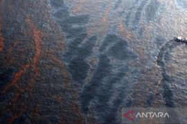 YPTB : Nelayan korban Montara tuntut kompensasi senilai Rp900 triliun