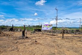 Kemenhut amankan 2.390 ha areal perambahan hutan di Lanskap Seblat