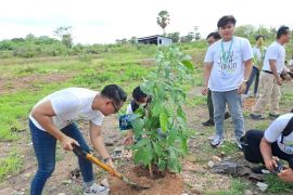 Angkasa Pura Indonesia menanam 400 anakan pohon di Kupang