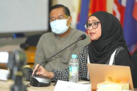 Pakar UMY sebut diaspora penguat ekspansi BUMN ke Amerika Latin
