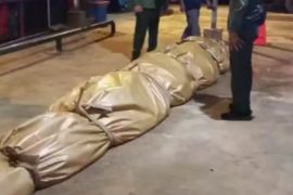 DPKP Inhil Riau kirim bangkai buaya besar ke Jakarta untuk diawetkan