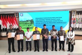 Pemprov Gorontalo sedia lahan 5.630 hektare untuk program cetak sawah