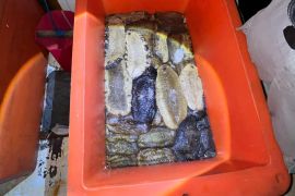 Bakamla menangkap lima nelayan Ilegal di Perairan Australia