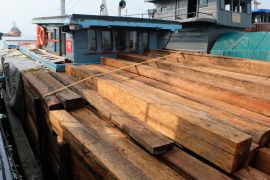 Bea Cukai Batam cegah perdagangan 1.250 balok kayu tanpa dokumen