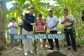 Pemkot Kupang berkolaborasi menanam 300 bibit pohon cegah longsor DAS