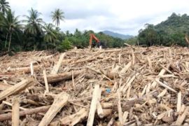 Bareskrim Polri naikkan status kasus kayu gelondongan di Sumut ke penyidikan