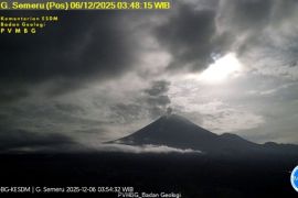 Lava Gunung Semeru meluncur hingga 1 km