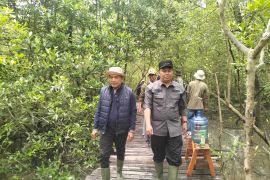 ANTARA JAMBI TANAM MANGROVE MEMENTUM HUT KE-88