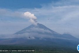 Gunung Semeru mengalami empat kali erupsi dengan tinggi letusan mencapai 1 km
