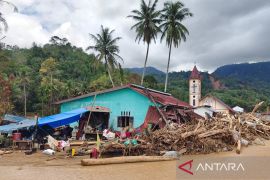 Petani Huta Nabolon Tapteng kebingungan, lahan kakao dan padi siap panen rusak dihantam banjir dan longsor
