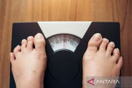 Diet Kalori Terbukti Bantu Otak dan Usus Mengatur Asupan Makanan