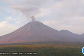 Gunung Semeru tercatat 11 kali erupsi dengan tinggi letusan mencapai 1 km