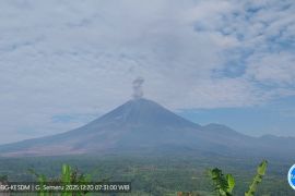 Gunung Semeru kembali erupsi dengan letusan setinggi 1.000 meter Sabtu pagi