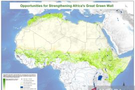 Etika Sains dalam Memandang Alam: Refleksi atas Penghijauan Gurun