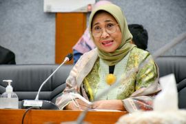 Komisi X mendorong pendekatan padat karya dalam pemulihan berkelanjutan