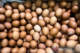 PIHPS: Harga cabai rawit merah Rp65.300/kg, telur ayam Rp32.950/kg