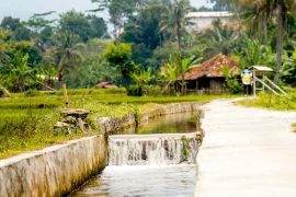 Percepatan irigasi pertanian jadi fondasi swasembada beras RI