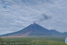 Gunung Semeru empat kali erupsi dengan tinggi letusan capai 1.000 meter