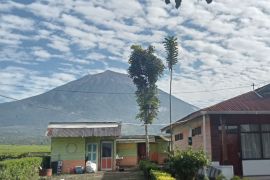 Aktivitas Gunung Kerinci meningkat, SPTN Wilayah I hentikan pendakian