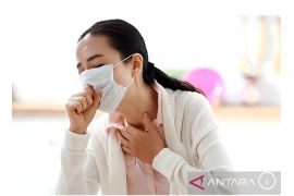 Dinkes Sumsel imbau warga waspadai penularan penyakit 'Super Flu'