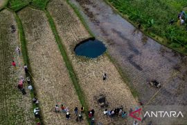 Tak ada ikan atau hewan di lubang sinkhole Situjuah Batua