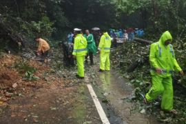 623 bencana alam terjadi di Sumatera Utara sepanjang 2025