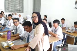 BGN: Pemerintah membangun 500 peternakan sapi penuhi kebutuhan susu