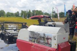 Pemkab Banyuasin bangun SPBU khusus untuk alsintan di Muara Telang