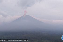 Gunung Semeru enam kali erupsi, tinggi letusan hingga 1.000 meter