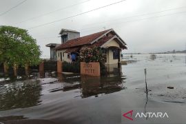 Potensi kerugian akibat banjir di sejumlah desa Kudus ditaksir Rp533 miliar