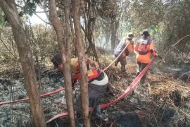 BPBD Kotawaringin Barat pastikan kesiapan hadapi karhutla