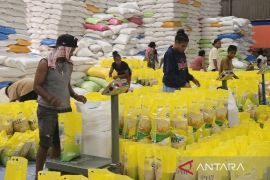 Bulog Papua: salurkan 20.567 ton beras SPHP per Januari 2026